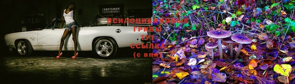 таблы Аркадак