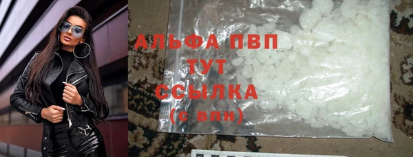 сатива Арсеньев