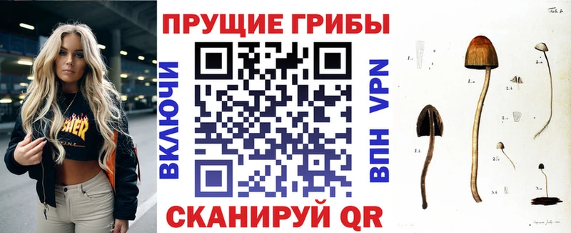 кракен зеркало  Пыть-Ях  Псилоцибиновые грибы мухоморы 